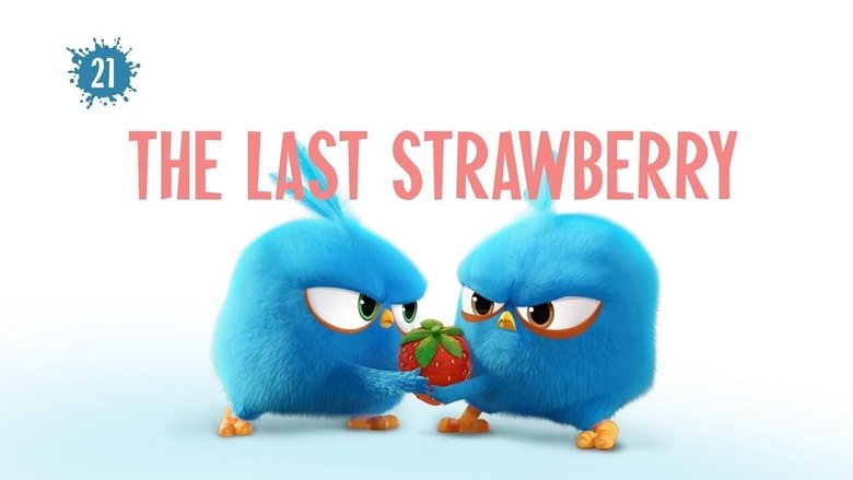 Still image for Angry Birds Blues season 1 episode 21: The Last Strawberry Still image for Angry Birds Blues season 1 episode 21: The Last Strawberry
