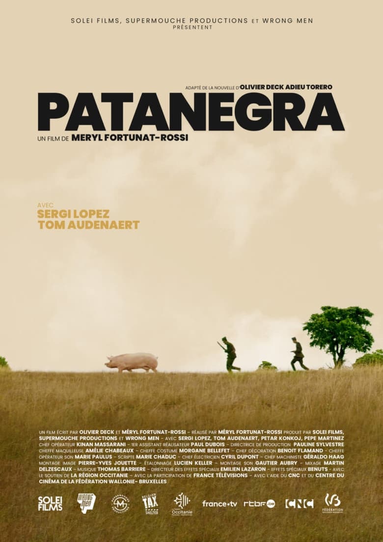 Patanegra main poster