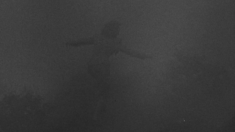 Gallery image from w72F6A6MrA3lbbdo70Rnl7Mfsz2.jpg