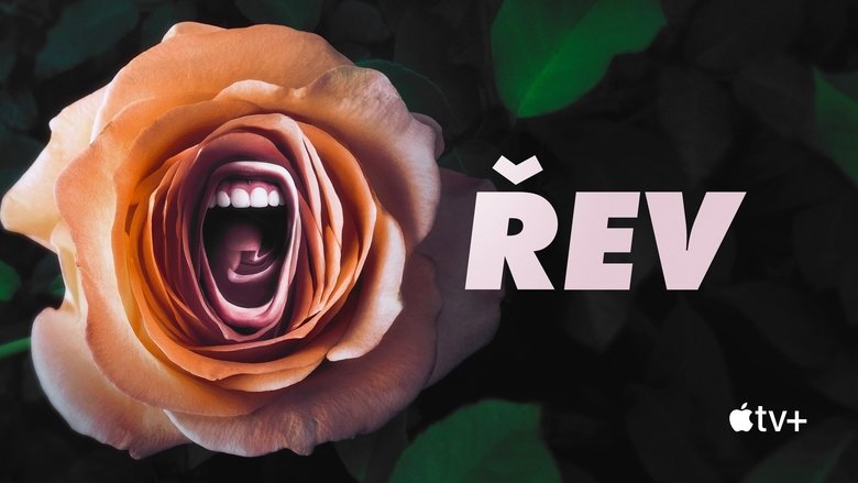 Gallery image from w72jODIjfbTDqy72qeVI4palG67.jpg