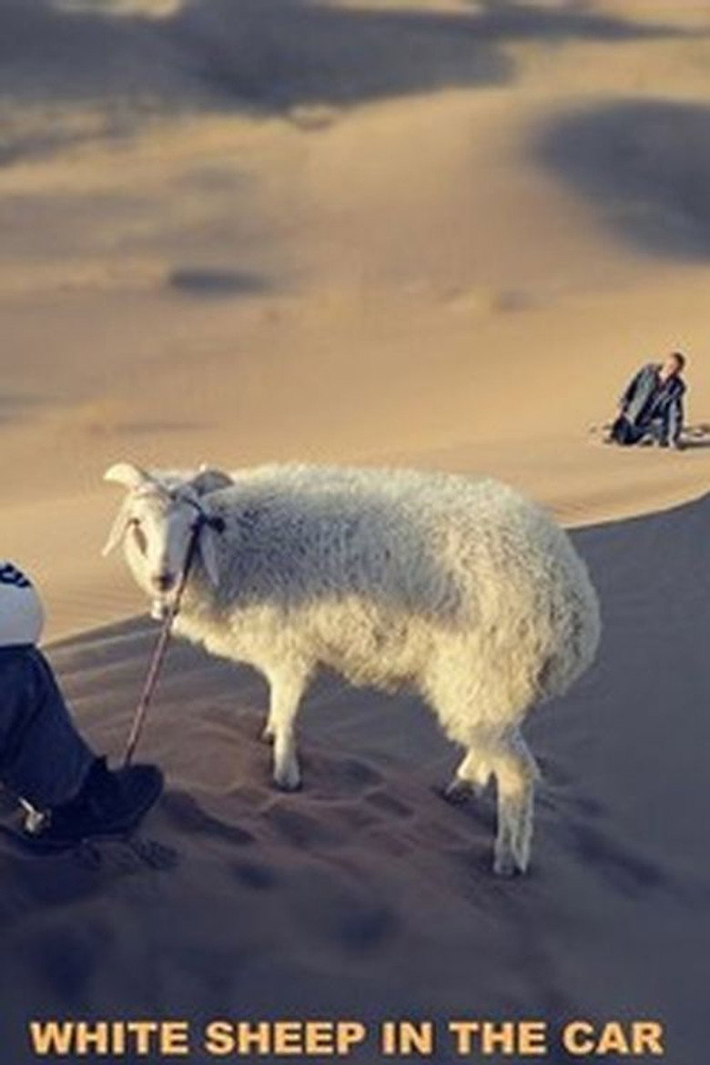White Sheep in the Car background