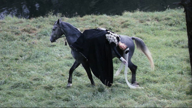 Image d'arrière-plan 11 du film Un accident de chasse