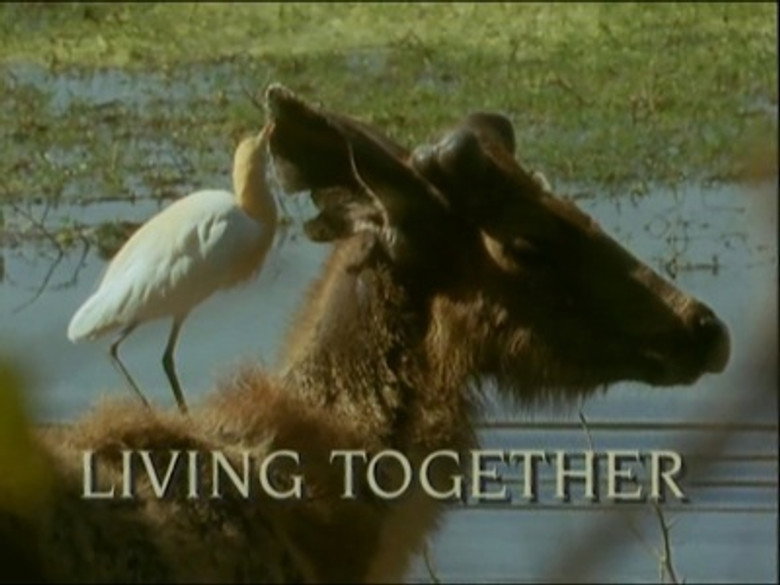 Still from Trials of Life - Mùa 1 Tập 7