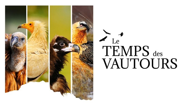 Le Temps des vautours (2022)