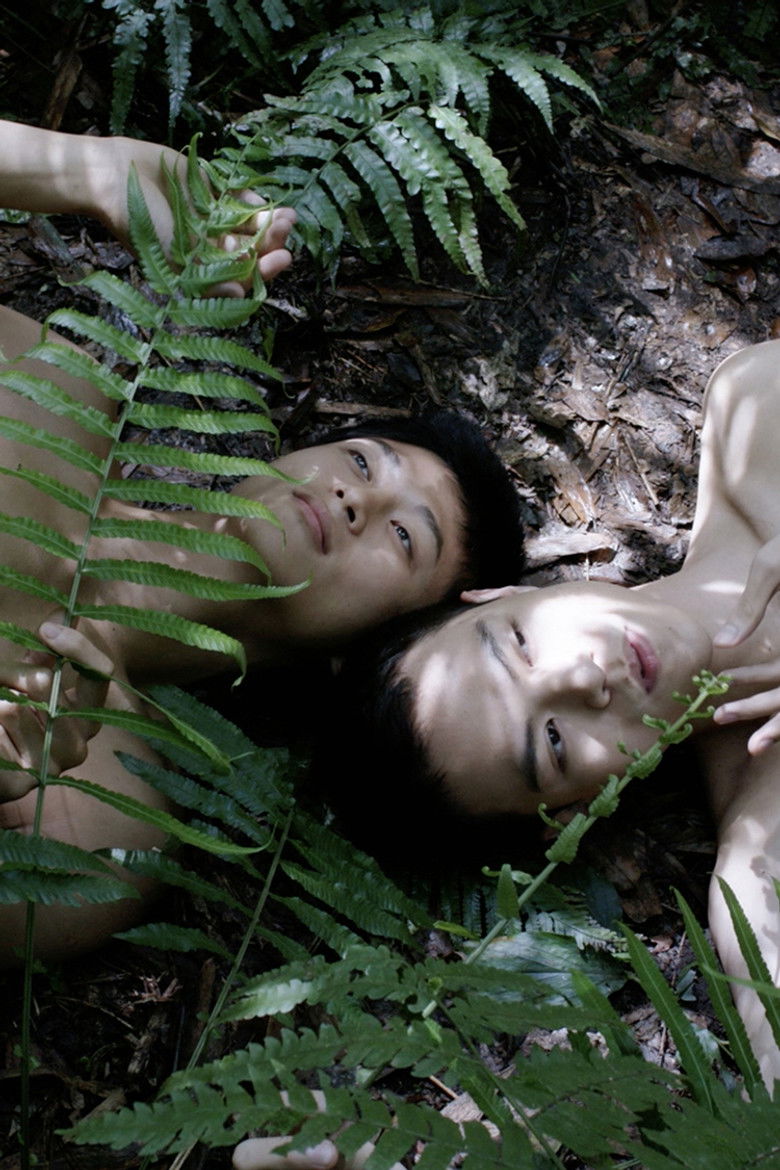 Imatge de Pteridophilia