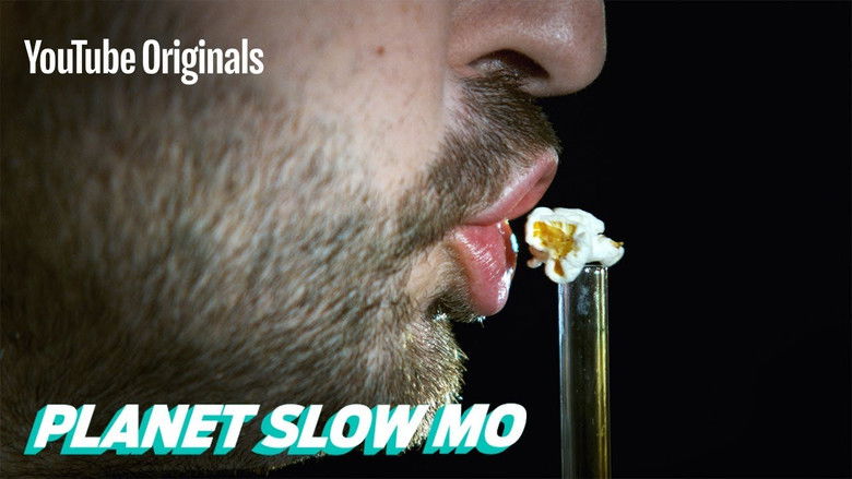 Still image for Planet Slow Mo season 1 episode 18: Human Speed vs Animal Speed