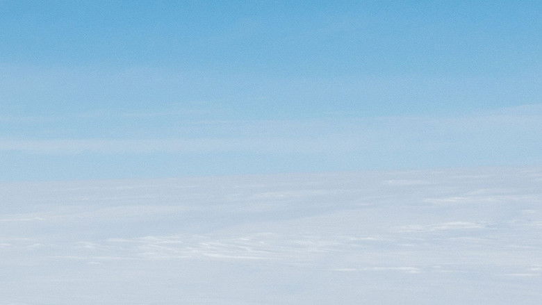 Hanging Out With Chinstrap Penguins