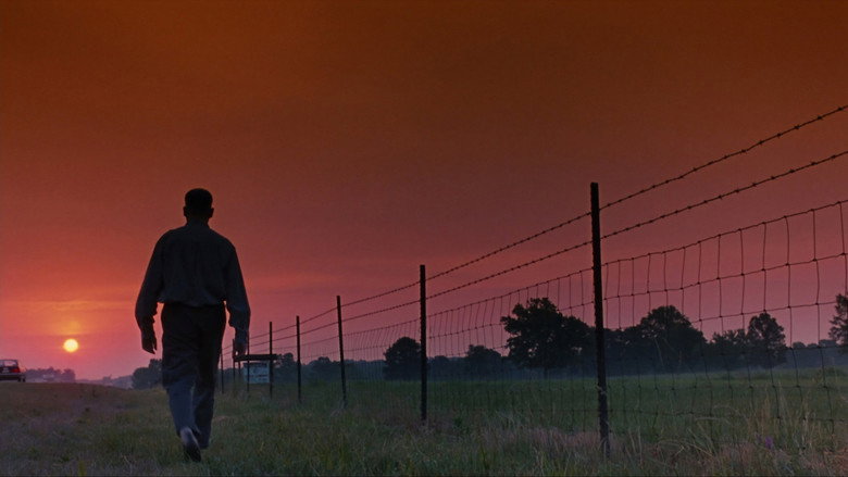 Imatge de L’altre costat de la vida