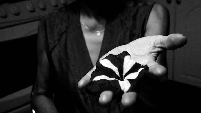 Gallery image from w9yOYwWlEak6IDanfS2OVqiwWzk.jpg