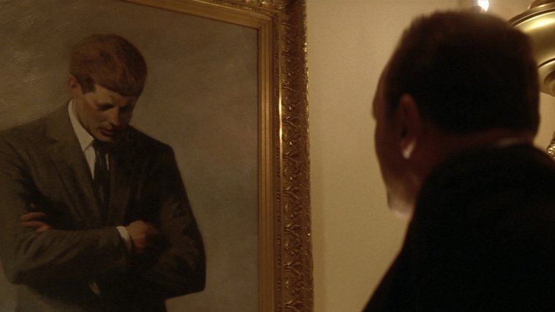 Nixon (1995)