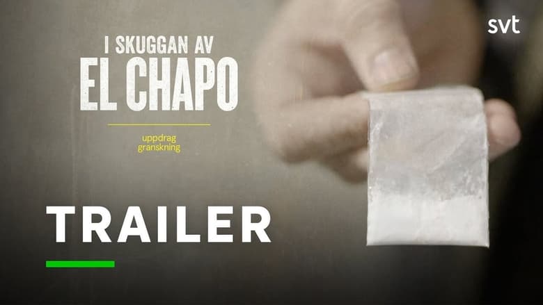 Uppdrag granskning: I skuggan av El Chapo