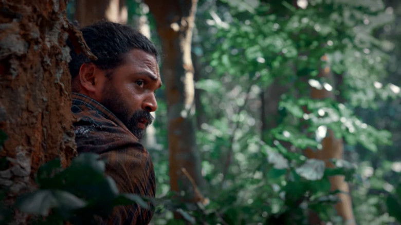 Gallery image from wCUp0u2LlZU9bqBz2JzHsVhxvYq.jpg