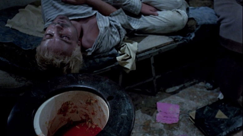 Gallery image from wCr04fgufSK56L71wuSzypTH9h4.jpg