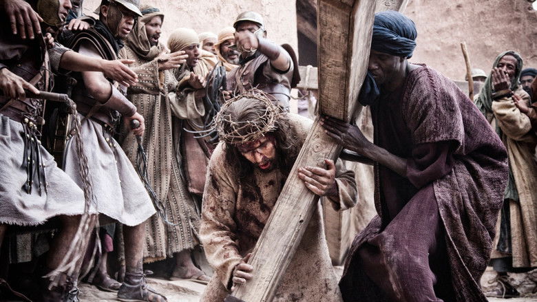 Gallery image from wDC39FUrVww2g21nr2AodYhnJGR.jpg