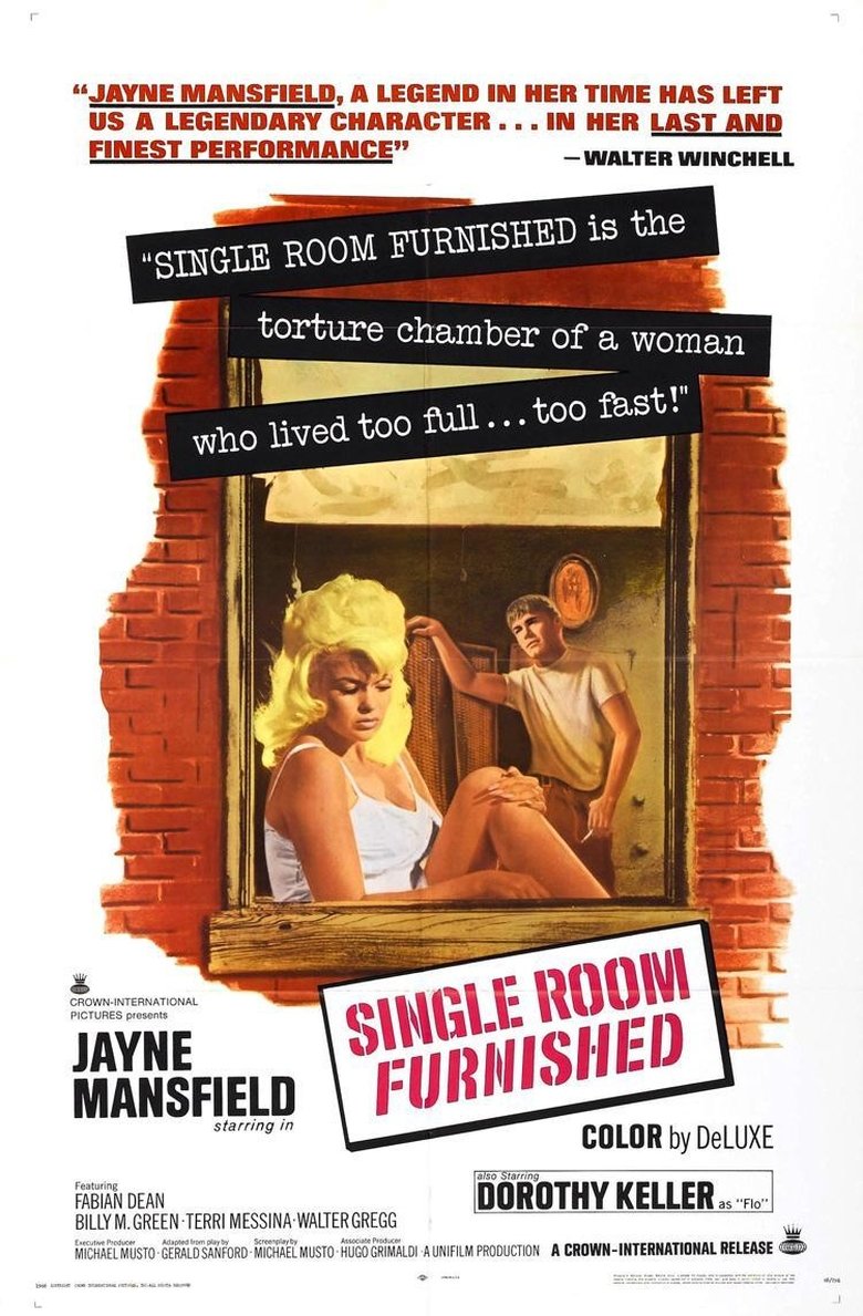 Single Room Furnished (1968)