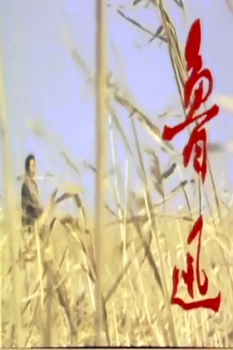 Poster 鲁迅 — Episodul 1