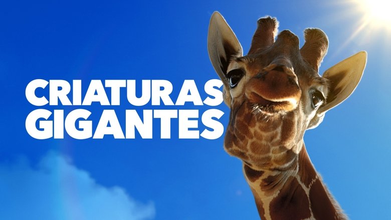 Gallery image from wEHG4gUd7LoWmzoAKy4mCn6BUPG.jpg