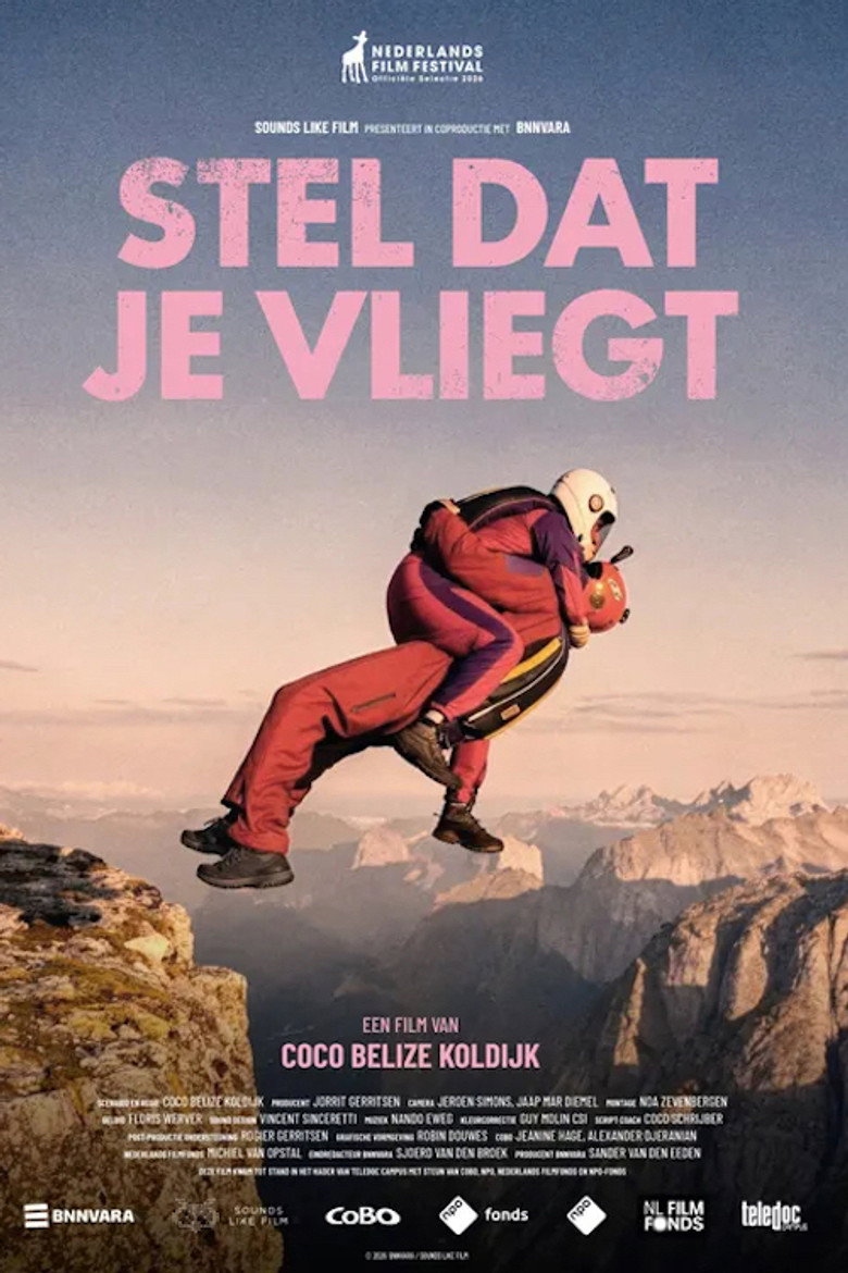 Stel dat je vliegt (2026) poster