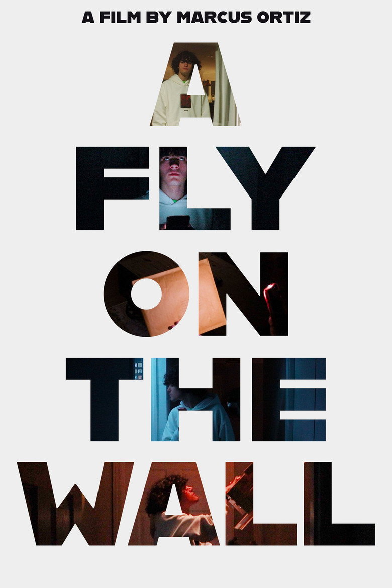 Imatge de A Fly On The Wall
