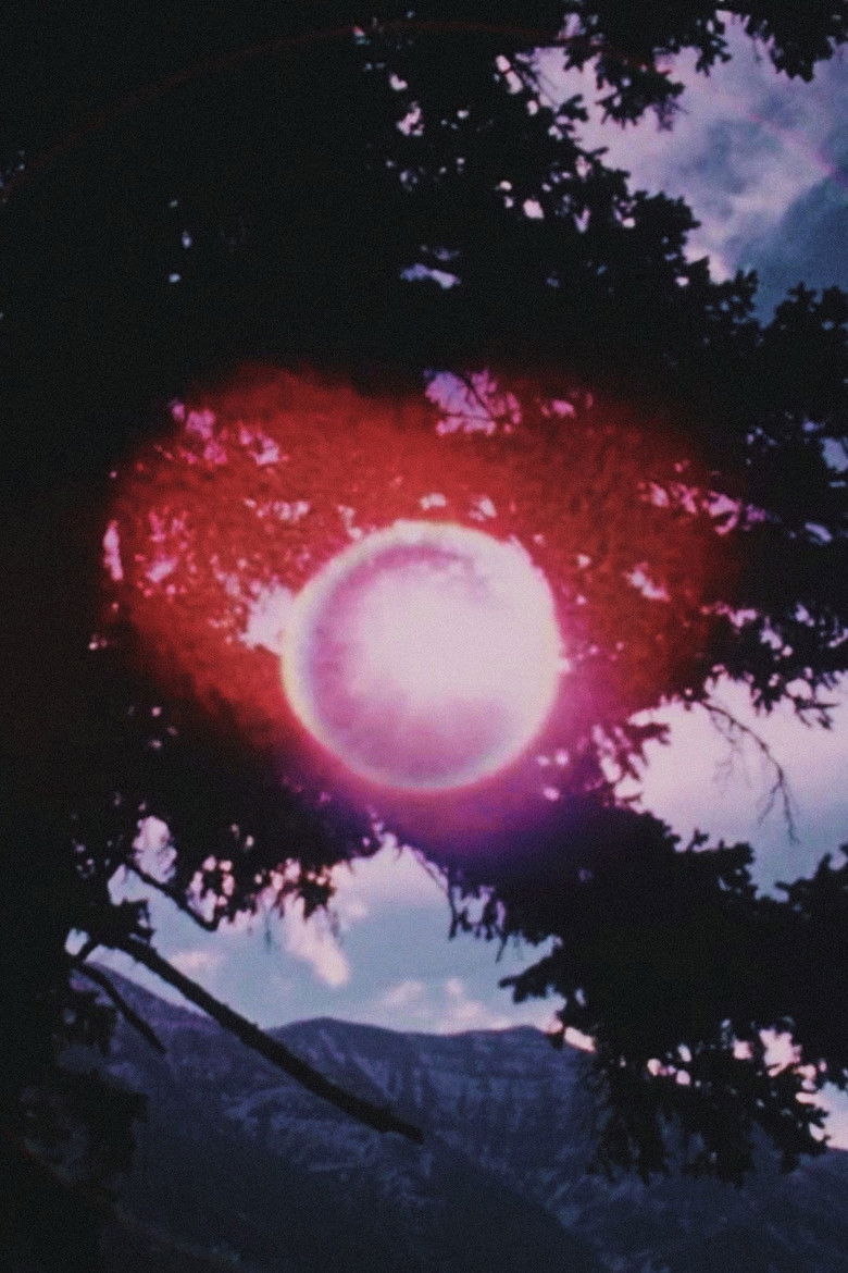 Imatge de Concerto for Water, Sun and Wilderness