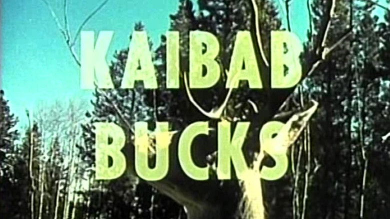 Still image for The Complete Fred Bear Collection season 1 episode 20: Kaibab Bucks Still image for The Complete Fred Bear Collection season 1 episode 20: Kaibab Bucks