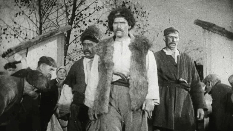 Still from About Pan Lebedenko