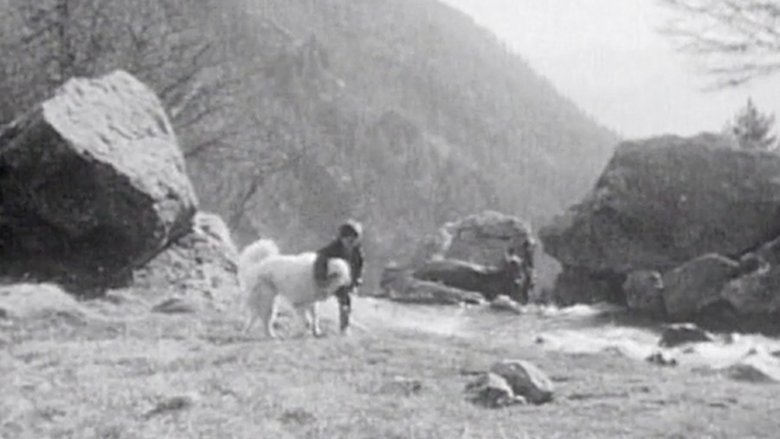 Still image for Belle et Sébastien season 1 episode 12: Episode 12