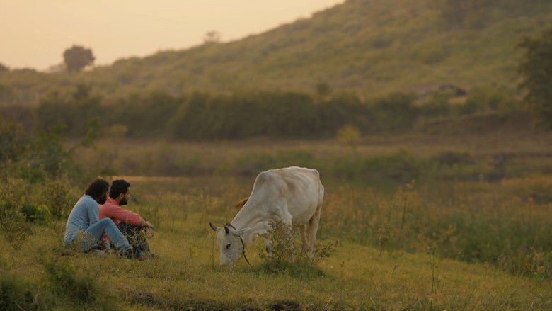 Gallery image from wFkGEumt1RTdFzPc1Pu4qbWbktK.jpg