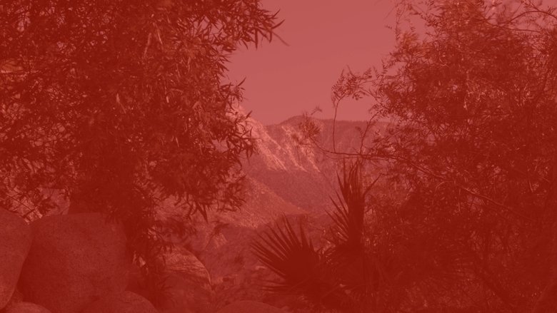 Onward Lossless Follows movie poster