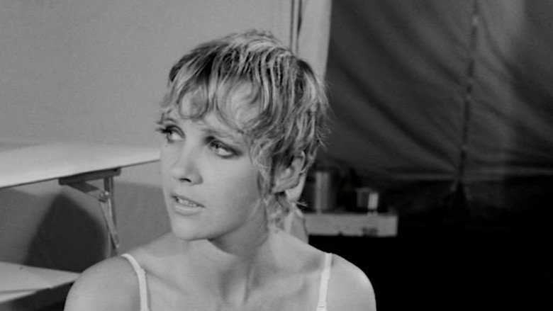 No Pawing, Darling image 10