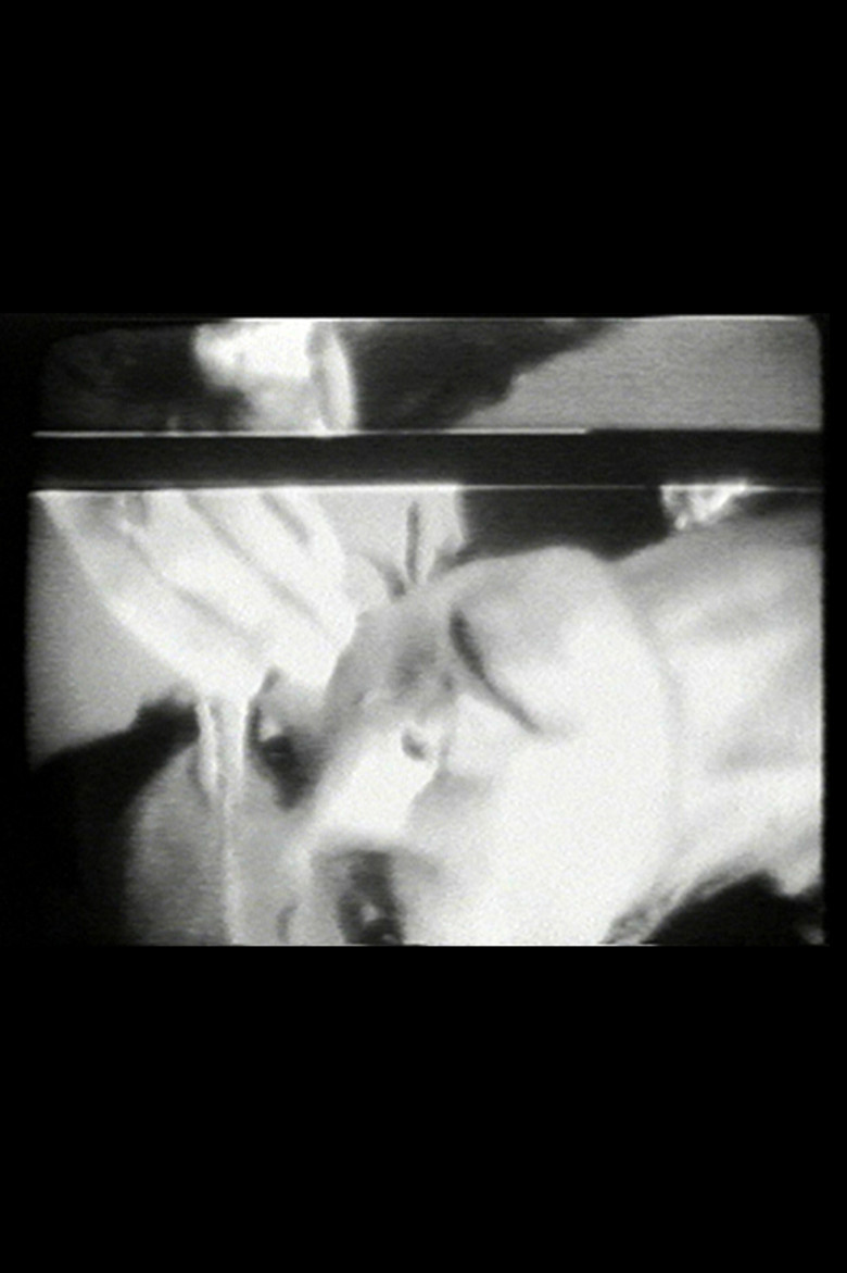 Imatge de Vertical Roll