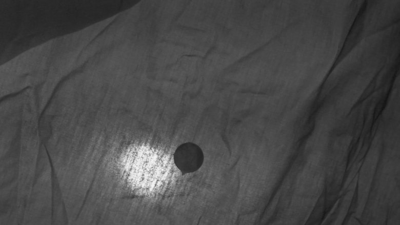 Gallery image from wIH4BHJB0zOfBzOUVp4vDLZlnu3.jpg