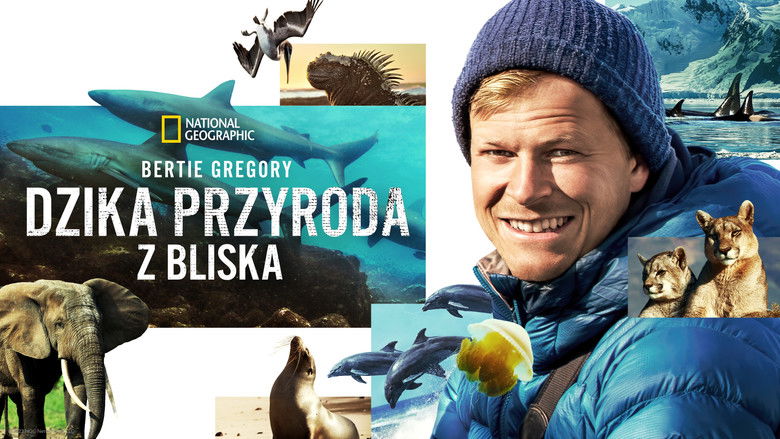 Gallery image from wK56aiRhL9eiqvneUEuBpv5aHwz.jpg