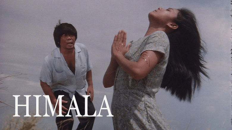 Gallery image from wK9o00uhknAMJah9M21Vp4HHjZ4.jpg