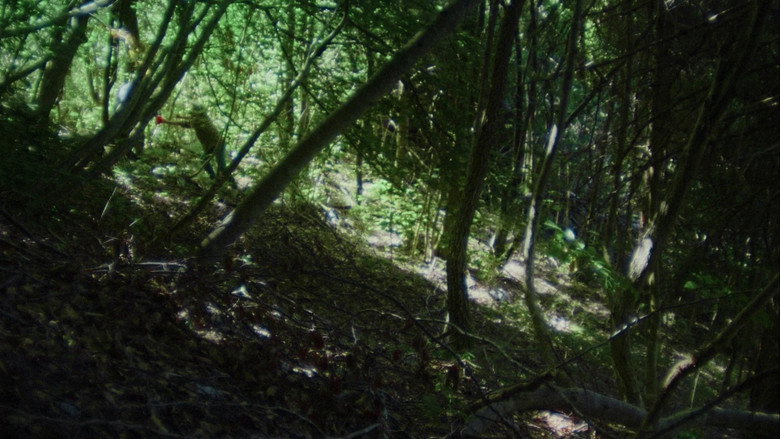 Imatge de El pütì pèrs