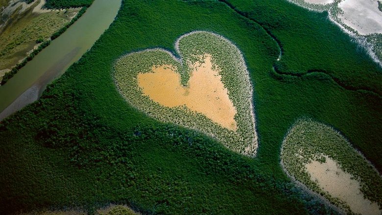 La Terre vue du Ciel