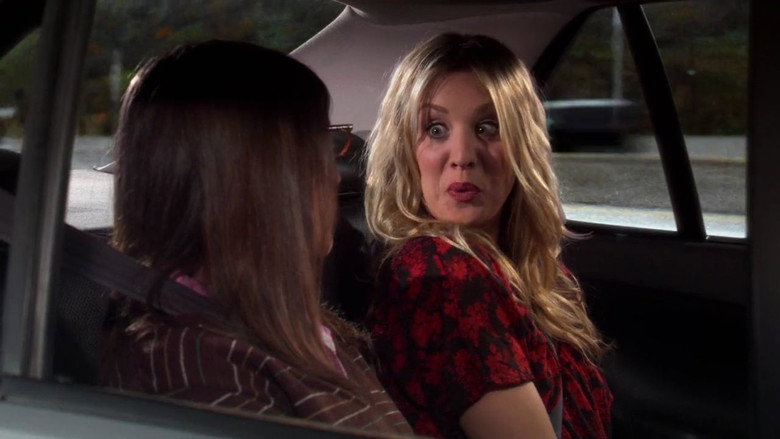 Watch The Big Bang Theory Season 4 Episode 13 The Love