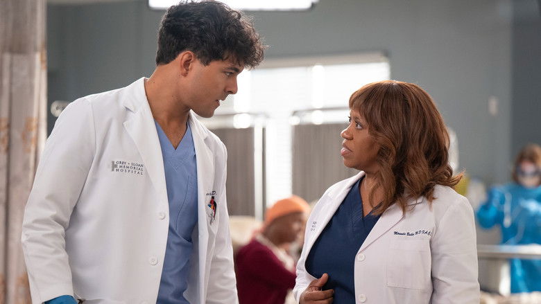 Grey's Anatomy Saison 22 Épisode 7 Voirfilms