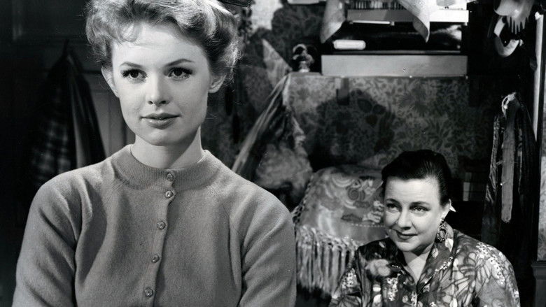 Imatge de Det lille hotel