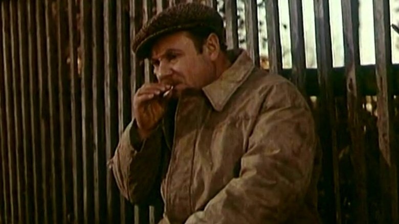 Gallery image from wMuNRb53uhuOj7Cn4Lqpbm5o8St.jpg