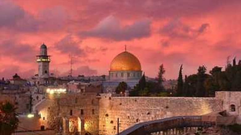 Gallery image from wMwBtDydssRKWG9bpfMlG7aZGrN.jpg