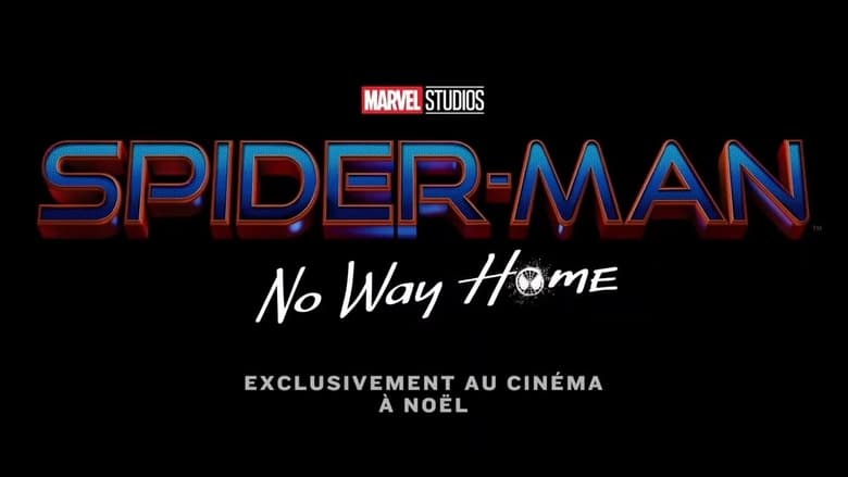 Spider-Man : No Way Home movie poster
