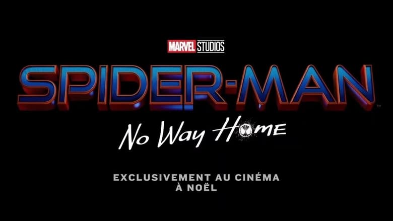 Spider-Man: No Way Home movie poster