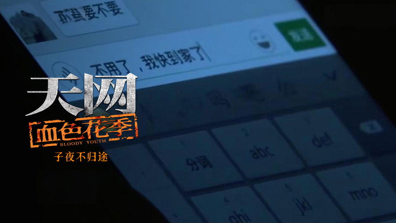 天网: 8×4