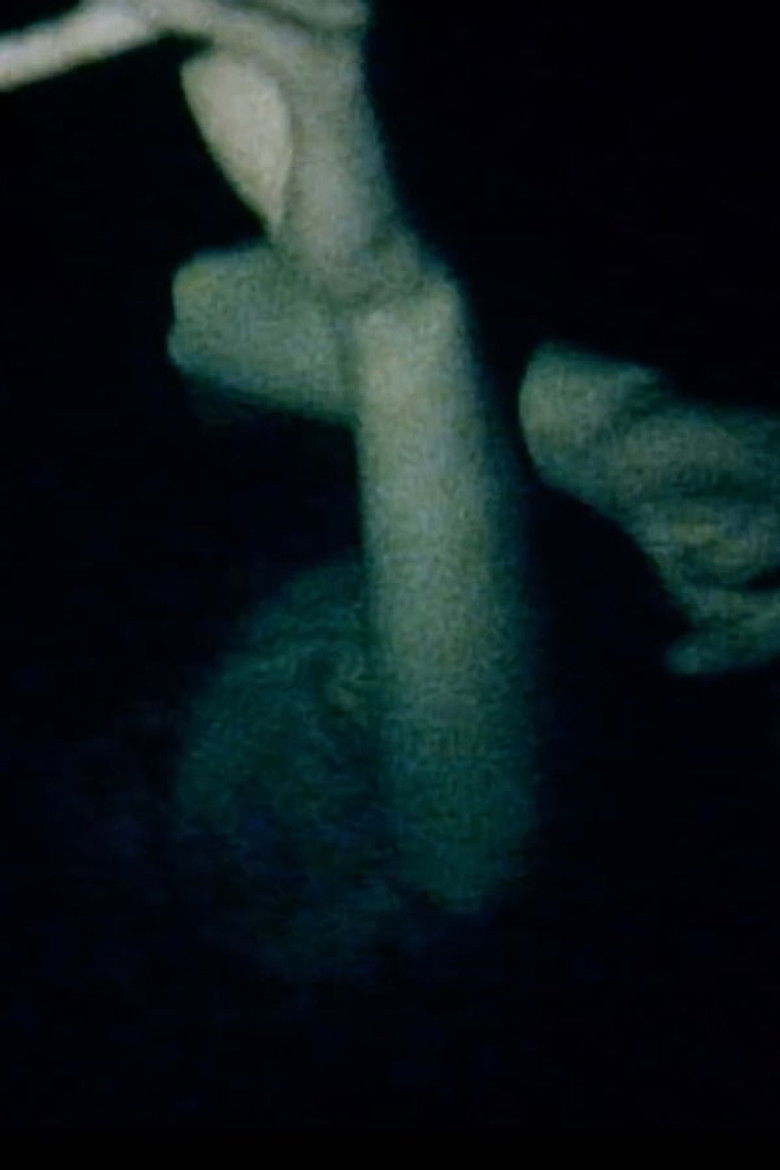 Imatge de Nightswimming