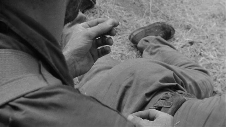 Image d'arrière-plan 8 du film Côte 465