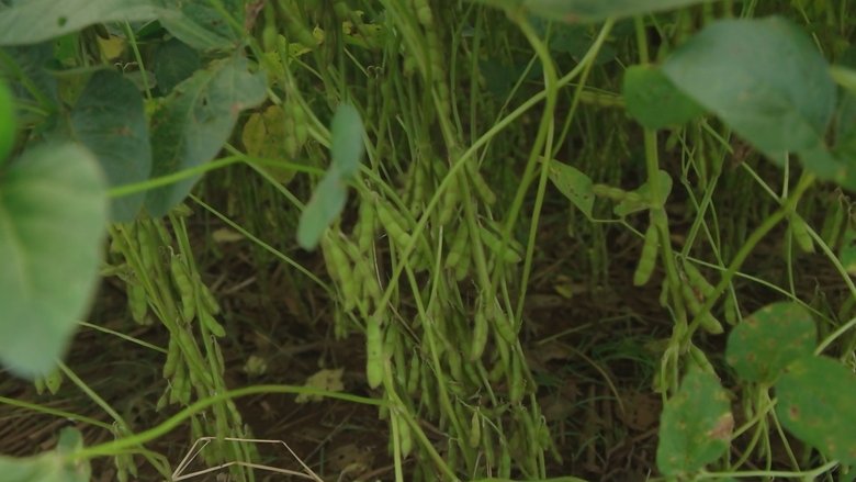 Gallery image from wNr3ClyJH9rKky3BmmxWHwg0L28.jpg