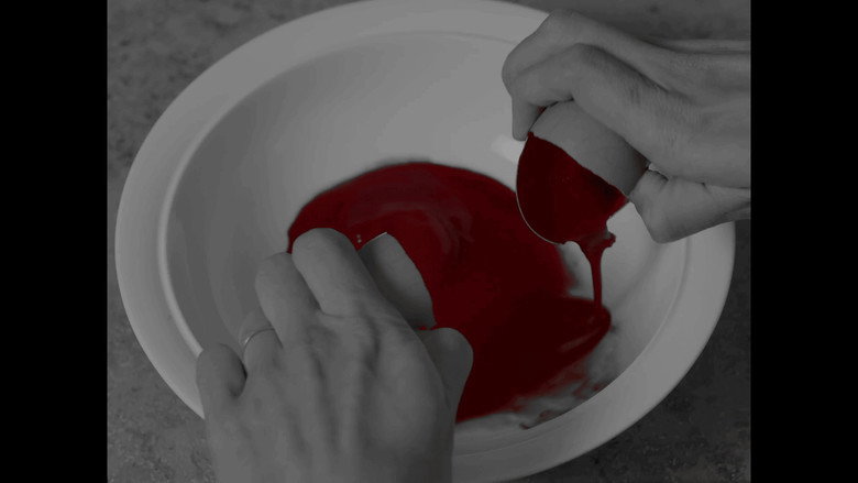 Gallery image from wOFzLdgnW1UK40O9PadLlg4JJT7.jpg