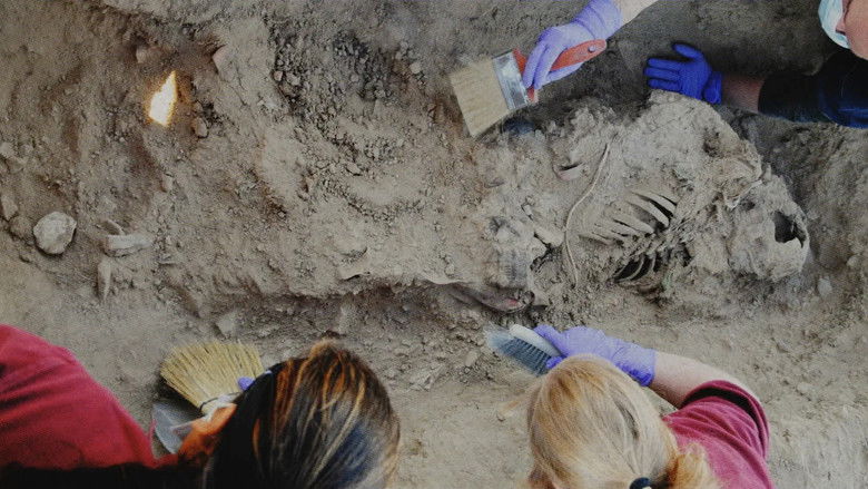 Still image for Two Shallow Graves season 1 episode 2: The Missed Call Still image for Two Shallow Graves season 1 episode 2: The Missed Call