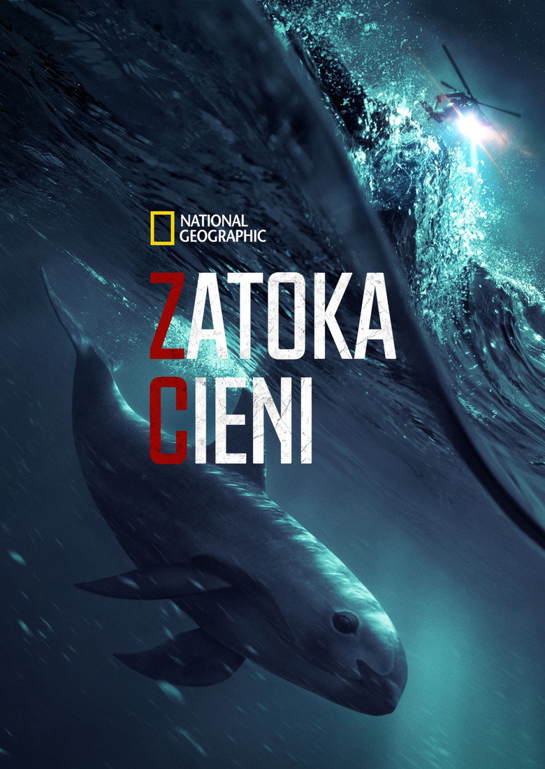 Plakat filmu Zatoka cieni